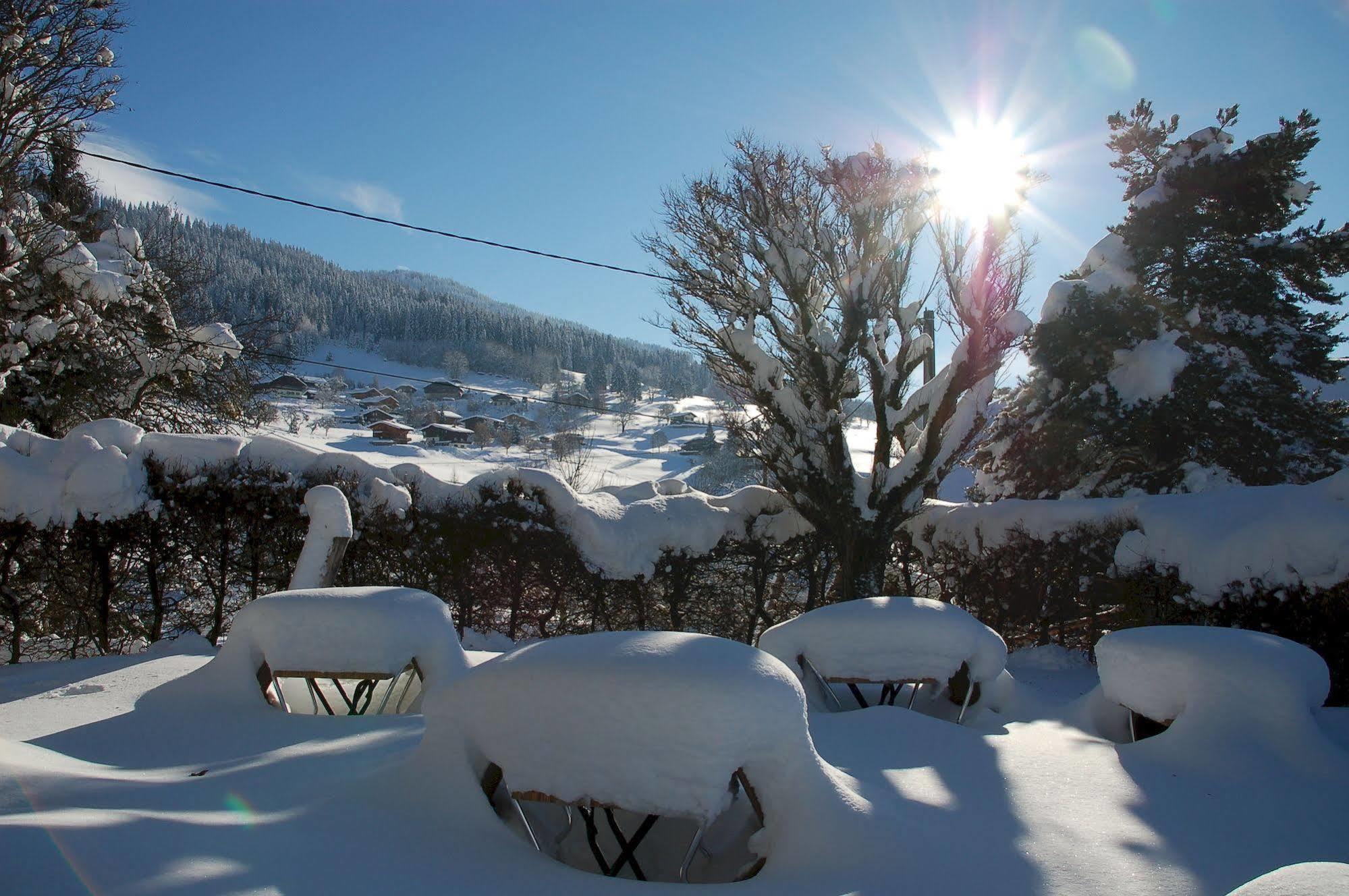 Hotel Le Caprice Des Neiges كومْبلو المظهر الخارجي الصورة